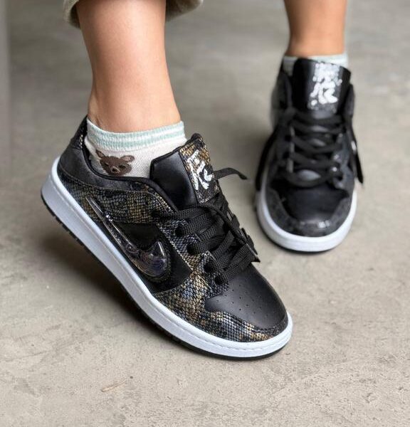 ونس نایک دراگون اکواریومی  33342