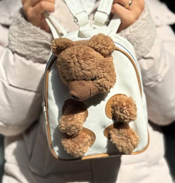 کوله پشتی تدی 33413