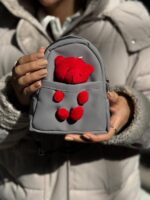 کوله خرسی 33414 - تصویر 10