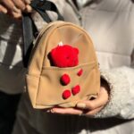 کوله خرسی 33414