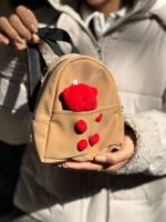 کوله خرسی 33414