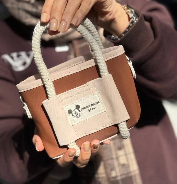 مینی بگ میکی موس 33405