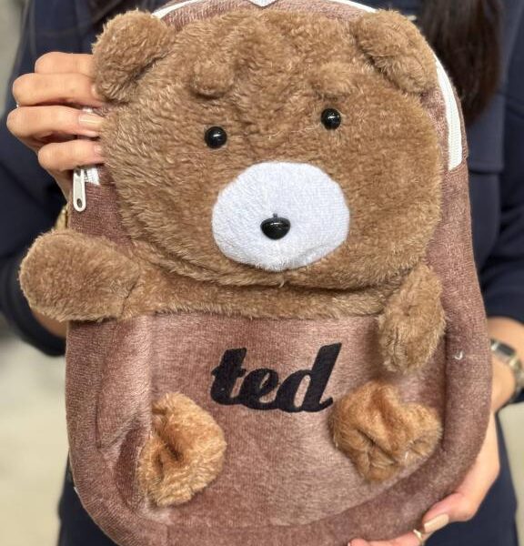 مینی بگ کوله ted کد 33436