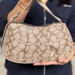 مینی بگ طرح لگو 33432